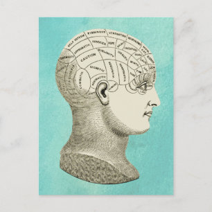 Antiek profielbeeld van een schedel voor frenologi briefkaart