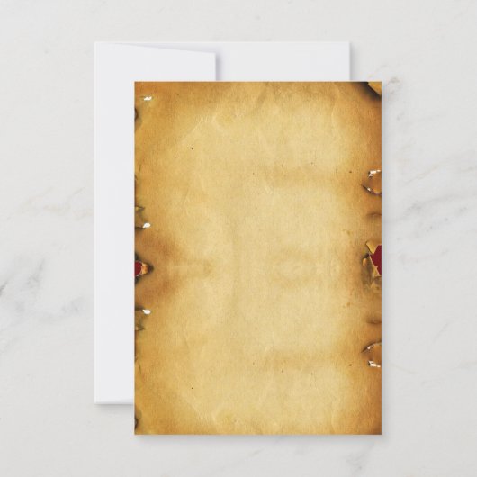 ANTIEK RENAISSANCE TAROTS / LADY OF SWORDS AANKONDIGING (Achterkant)