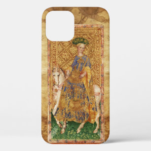 ANTIEK RENAISSANCE TAROTS / LADY OF WANNEER iPhone 12 HOESJE