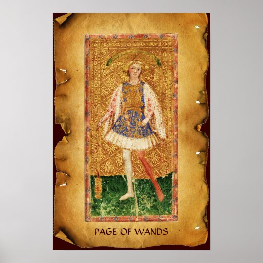 ANTIEK RENAISSANCE TAROTS / PAGINA OF WANDS POSTER (Voorkant)
