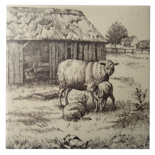 Antiek Repo William Wise Sheep Family Sepia Tegeltje (Voorkant)