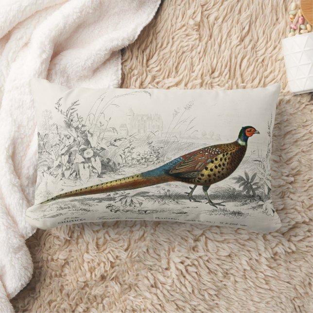  Antiek ringvormige fazant Kussen (Deken)