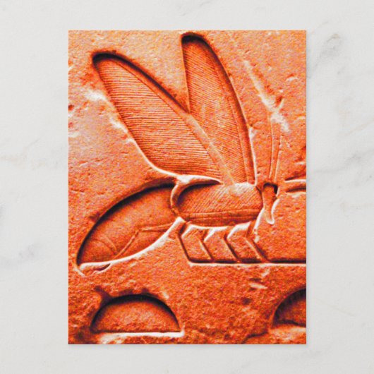 ANTIEK RODE EGYPTIAN HONEY BEEKEEPER BRIEFKAART (Voorkant)