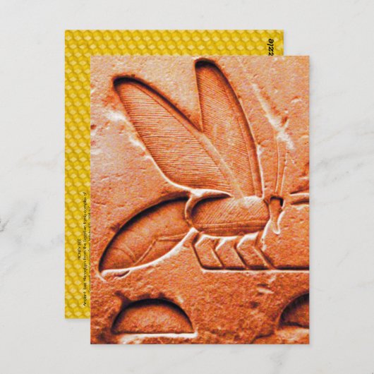 ANTIEK RODE EGYPTIAN HONEY BEEKEEPER BRIEFKAART (Voorkant / Achterkant)