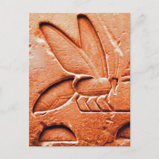 ANTIEK RODE EGYPTIAN HONEY BEEKEEPER BRIEFKAART (Voorkant)