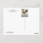 ANTIEK ROMAN MOSAICS / ROOSTER BRIEFKAART (Achterkant)