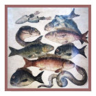 ANTIEK ROMAN MOSAICS, VISSEN, OCEAAN ZEE LIFE SCEN