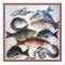 ANTIEK ROMAN MOSAICS, VISSEN, OCEAAN ZEE LIFE SCEN