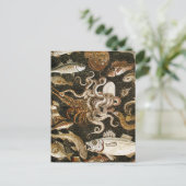 Antiek Roman Mozaïek Pompeii Zee Life Stone Mozaïe Briefkaart (Staand voorkant)