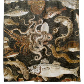 Antiek Roman Mozaïek Pompeii Zee Life Stone Mozaïe Douchegordijn (Voorkant)