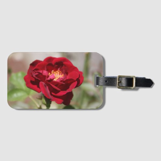 Antiek rood Bagagelabel (Voorkant (horizontaal))