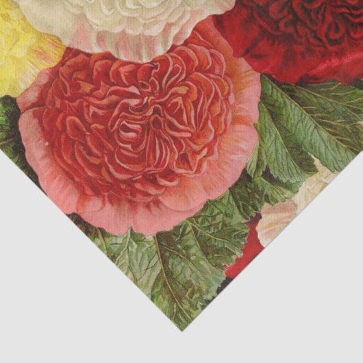 Antiek  Rood Wit Roze Geel Rozen Tissuepapier (Detail)