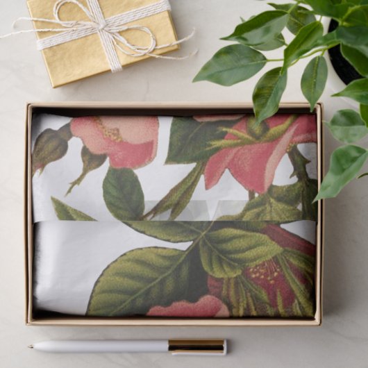 Antiek Roos Bloem Art Illustratie Tekening Tissuepapier (Geschenk)