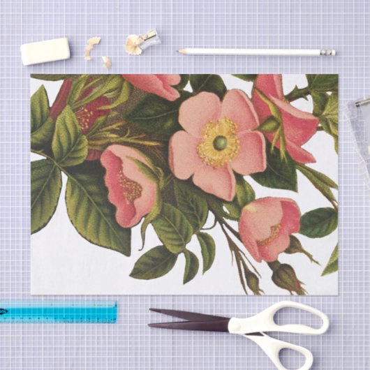 Antiek Roos Bloem Art Illustratie Tekening Tissuepapier (Craft)