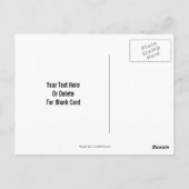 Antiek  Roos Bloem  Briefkaart (Achterkant)