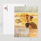Antiek Roos Briefkaart (Voorkant / Achterkant)