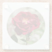 Antiek Roos Onderzetter Glazen Onderzetter (Achterkant)