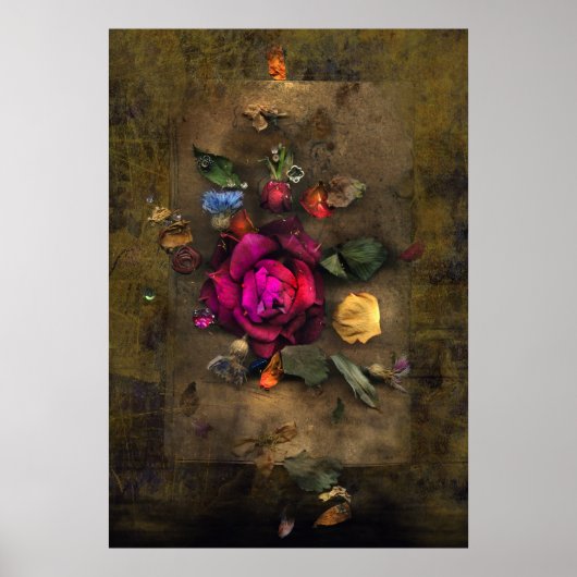 Antiek Roos Poster (Voorkant)