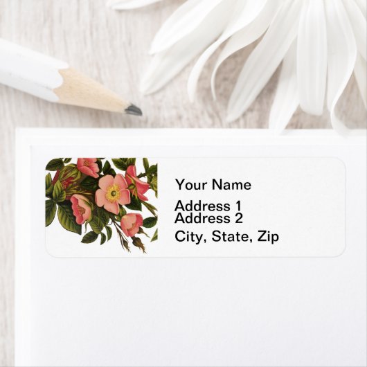  Antiek Roos van de Kunst Illustratie van de Vloer Etiket (Insitu)