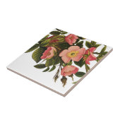 Antiek Roos van de Kunst Illustratie van de Vloer Tegeltje (Zijkant)