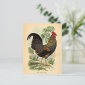 Antiek  Rooster-leder Briefkaart (Staand voorkant)