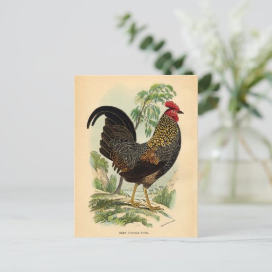 Antiek  Rooster-leder Briefkaart (Staand voorkant)