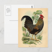 Antiek  Rooster-leder Briefkaart (Voorkant / Achterkant)