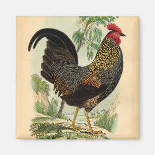 Antiek Rooster-leder Magneet