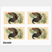 Antiek Rooster-leder Rechthoekige Sticker (Vel)
