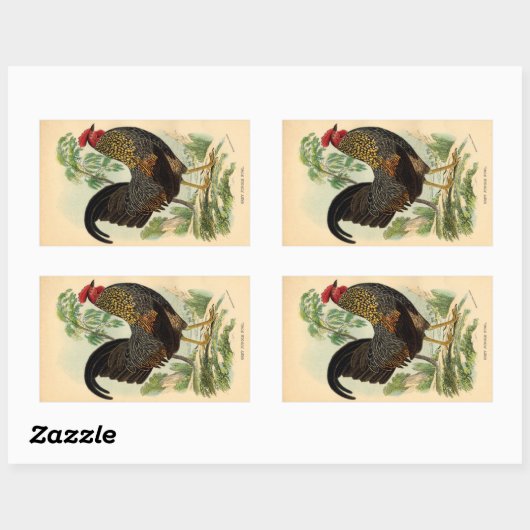 Antiek  Rooster-leder Rechthoekige Sticker (Vel)