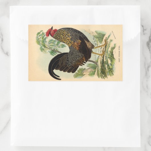 Antiek Rooster-leder Rechthoekige Sticker (Tas)