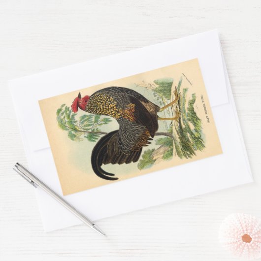 Antiek  Rooster-leder Rechthoekige Sticker (Envelop)