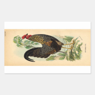 Antiek  Rooster-leder Rechthoekige Sticker
