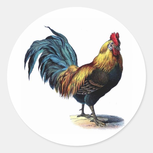 Antiek Rooster-leder Ronde Sticker (Voorkant)