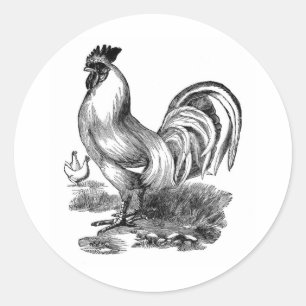 Antiek  Rooster-leder Ronde Sticker