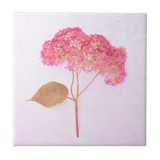  Antiek Roze Hydrangea Land Floral Tegeltje (Voorkant)