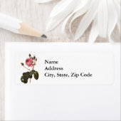 Antiek roze Rozen in Bloom Etiket (Insitu)