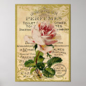 Antiek roze rozengeur poster (Voorkant)