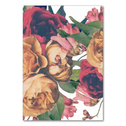 Antiek Rozen Botanische Fete Weddenschappen Tabeln Kaart (Achterkant)