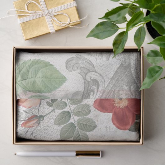 Antiek Rozen, gegraveerde scrollers & Script-ontko Tissuepapier (Geschenk)