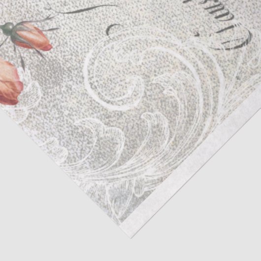 Antiek Rozen, gegraveerde scrollers & Script-ontko Tissuepapier (Detail)