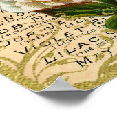 Antiek Rozen parfum Poster (Hoek)