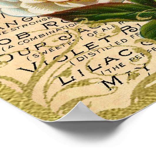 Antiek Rozen parfum Poster (Hoek)