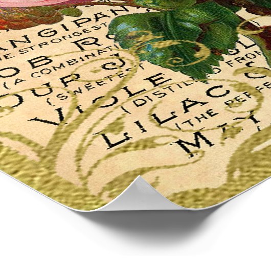 Antiek Rozen parfum Poster (Hoek)