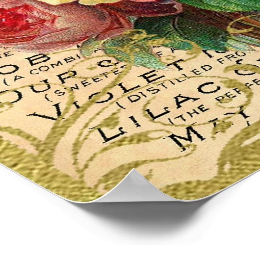 Antiek Rozen parfum Poster (Hoek)