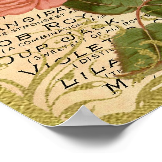 Antiek Rozen parfum Poster (Hoek)