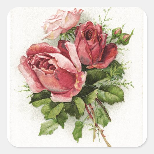 Antiek Rozen Vierkante Sticker (Voorkant)
