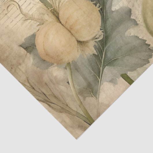 Antiek rustieke papavers Ephemera Decoupage Tissuepapier (Detail)