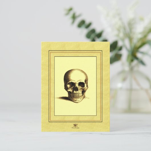 Antiek schedel briefkaart (Staand voorkant)