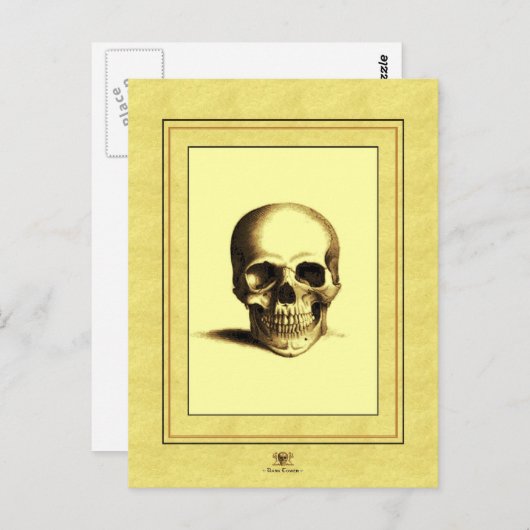Antiek schedel briefkaart (Voorkant / Achterkant)